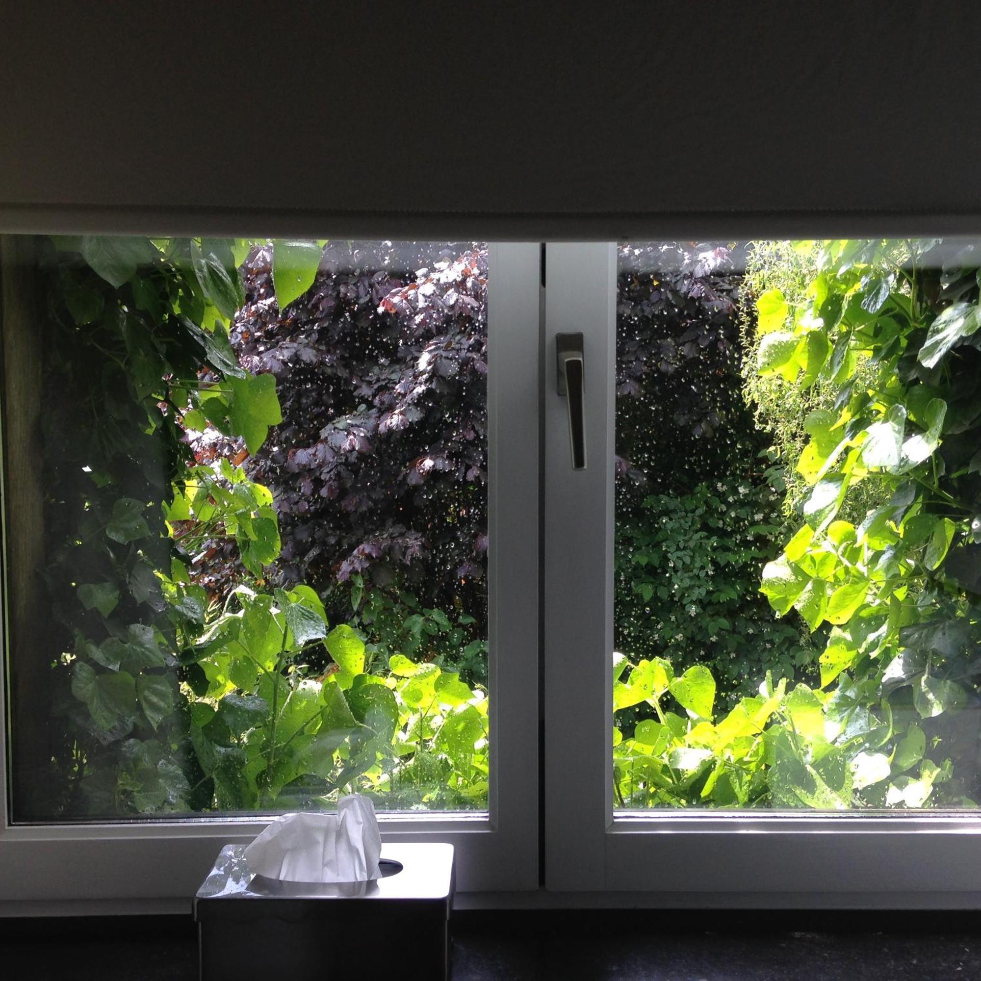B&B Matin Tranquille Liège Extérieur photo